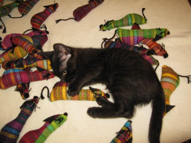 Scout and Cat Toys